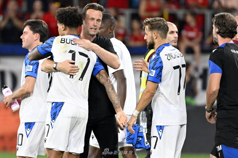 他们提供了 他们提供了